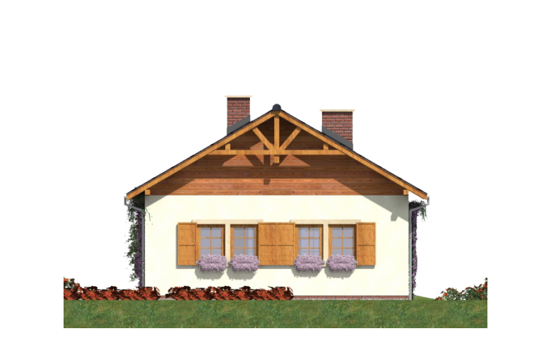 Projekt domu z bala A-112 (drewniany) - elewacja 4