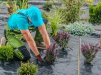 Jak ułożyć agrowłókninę na chwasty, aby działała skutecznie? Praktyczne wskazówki, błędy i sprawdzone metody montażu