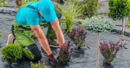 Jak ułożyć agrowłókninę na chwasty, aby działała skutecznie? Praktyczne wskazówki, błędy i sprawdzone metody montażu