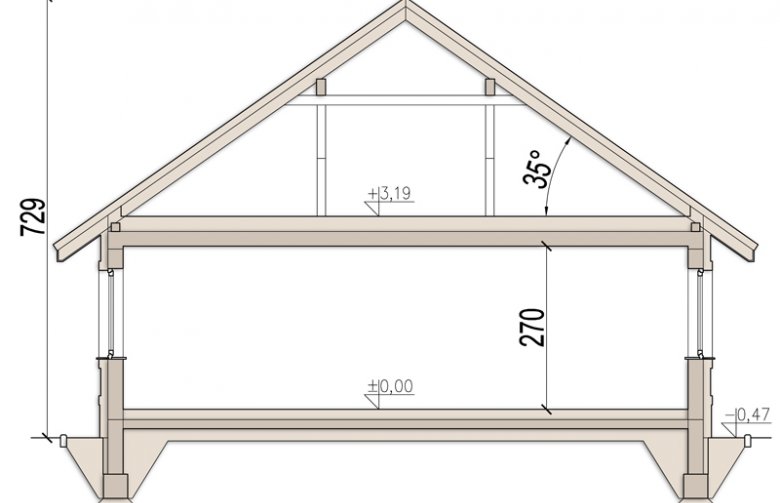 Projekt domu parterowego Daktyl 2 - przekrój 1