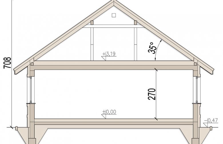 Projekt domu parterowego Daktyl - przekrój 1