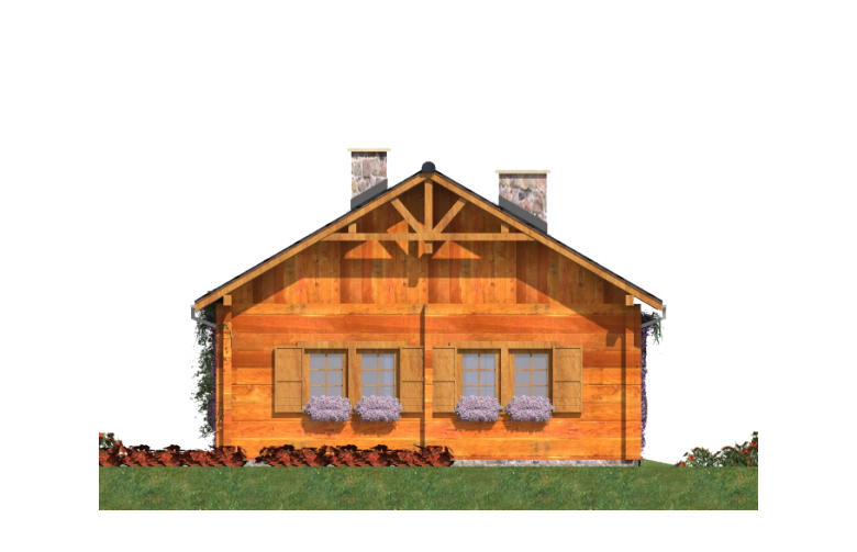 Projekt domu z bala A-112 BAL - elewacja 4