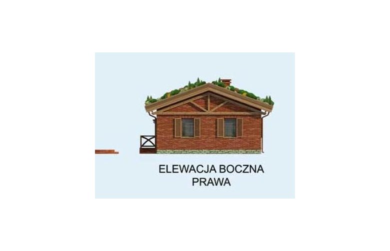 Projekt domu parterowego EL PINAR dom z zielonym dachem - elewacja 2