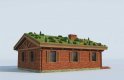 Projekt domu parterowego EL PINAR dom z zielonym dachem - wizualizacja 2