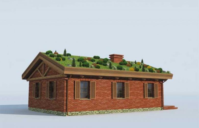 Projekt domu parterowego EL PINAR dom z zielonym dachem