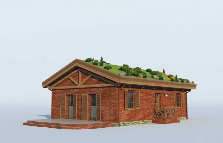 Projekt domu parterowego EL PINAR dom z zielonym dachem