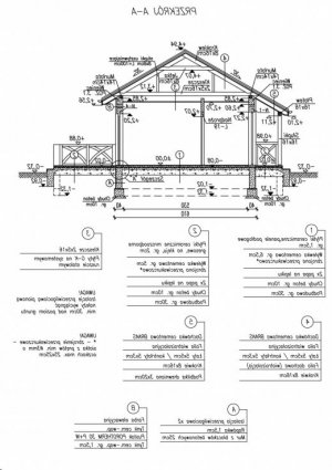 Przekrój projektu RIOBAMBA dom letniskowy w wersji lustrzanej