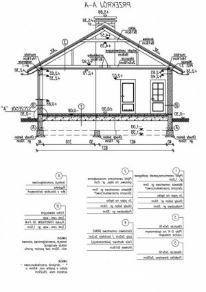 Przekrój projektu PALPALA dom letniskowy w wersji lustrzanej