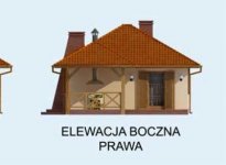 Elewacja projektu ESTELLA dom letniskowy - 4