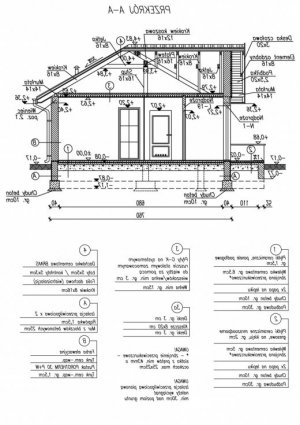 Przekrój projektu BOGOTA dom letniskowy w wersji lustrzanej