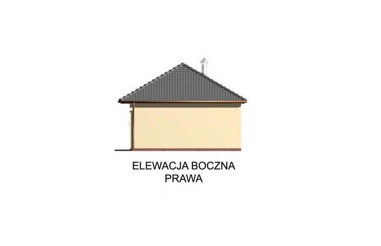 Projekt budynku gospodarczego G46 budynek gospodarczy - elewacja 4