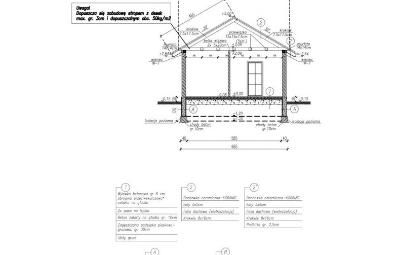 Projekt domu letniskowego AURORA dom letniskowy - przekrój 1