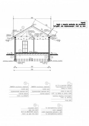 Przekrój projektu AURORA dom letniskowy w wersji lustrzanej