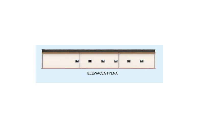 Projekt garażu G313 Garaż / Magazyn z pomieszczeniami gospodarczymi - elewacja 4