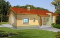 Projekt domu parterowego Mniszek bez garażu - wizualizacja 0