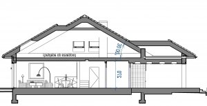 Przekrój projektu Domidea 2d w wersji lustrzanej