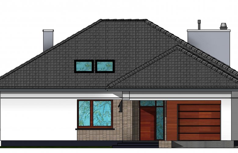 Projekt domu jednorodzinnego Domidea 55 - elewacja 1