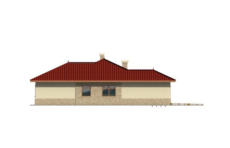 Projekt domu dwurodzinnego Nesta  - elewacja 3