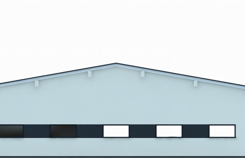 Projekt domu energooszczędnego G251 - Budynek garażowy - elewacja 1
