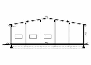 Przekrój projektu G251 - Budynek garażowy w wersji lustrzanej