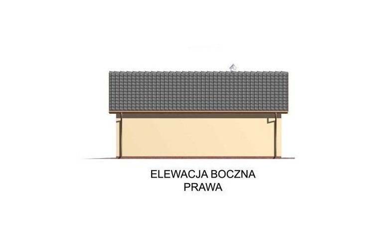 Projekt budynku gospodarczego G43 - elewacja 4