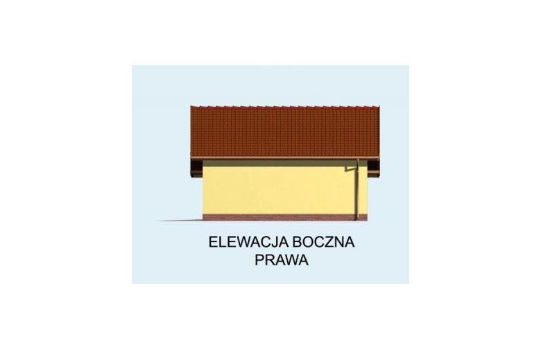 Projekt domu nowoczesnego Budynek gospodarczy G58 dwustanowiskowy - elewacja 4