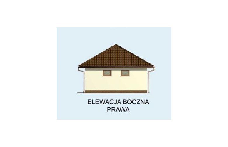 Projekt budynku gospodarczego G77 - elewacja 4