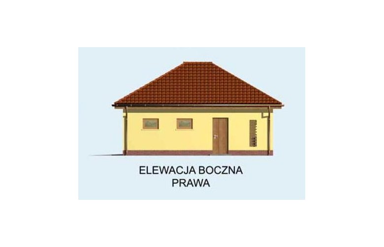 Projekt budynku gospodarczego G111 - elewacja 4