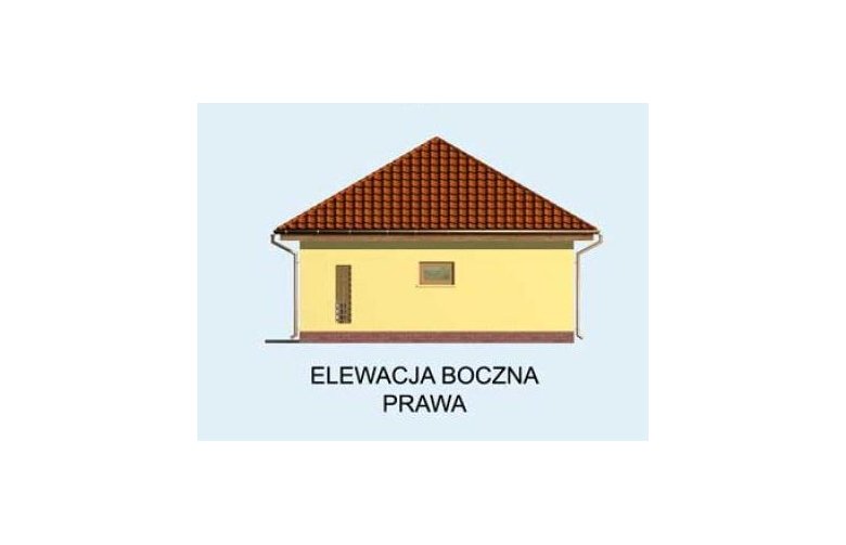 Projekt domu nowoczesnego Budynek gospodarczy G116 - elewacja 4