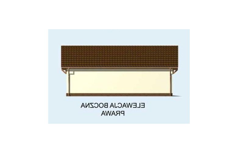 Projekt budynku gospodarczego G147 - elewacja 4