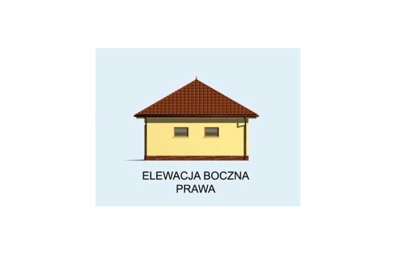 Projekt budynku gospodarczego BG165 - elewacja 4