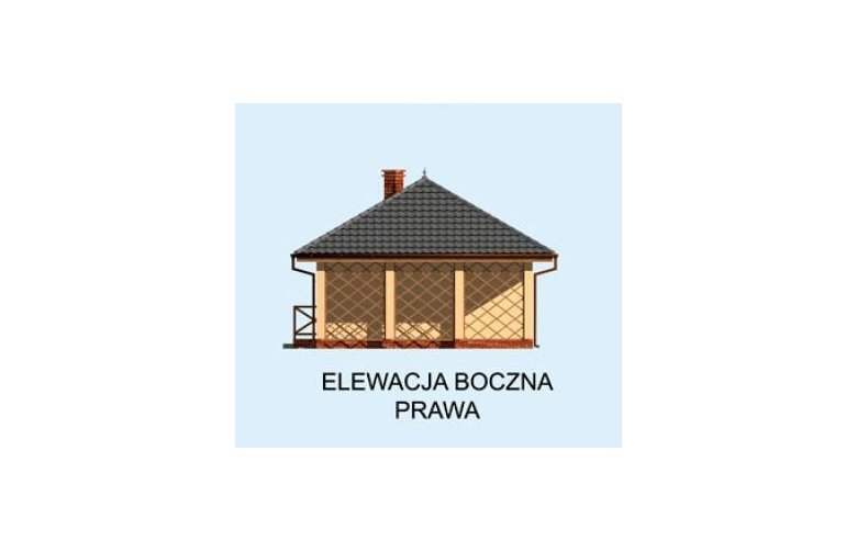 Projekt budynku gospodarczego G191 projekt z wędzarnią  - elewacja 4