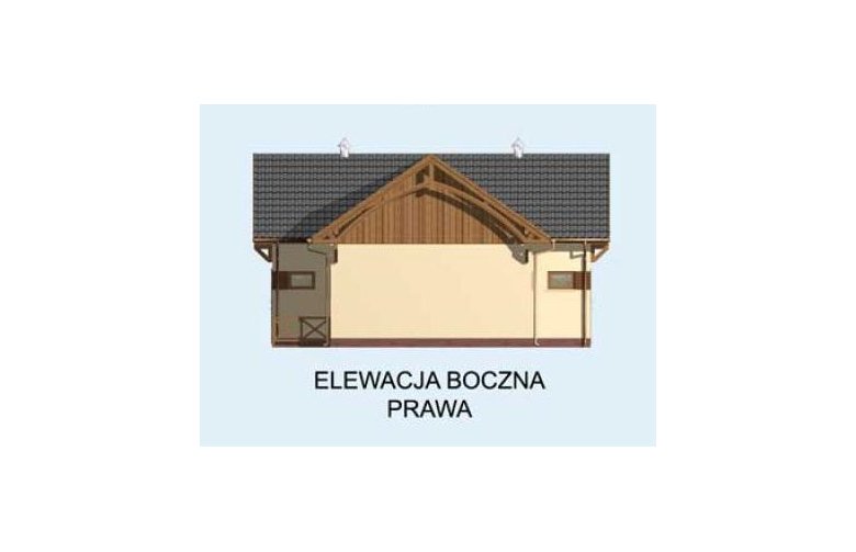 Projekt budynku gospodarczego BGS8 budynek gospodarczy - elewacja 4