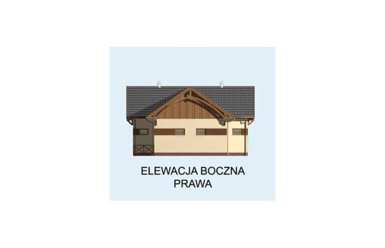 Projekt budynku gospodarczego BGS13 budynek gospodarczy - elewacja 4