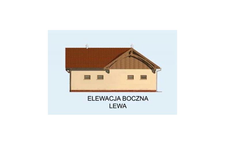 Projekt budynku gospodarczego BGS16 Budynek gospodarczy - elewacja 3