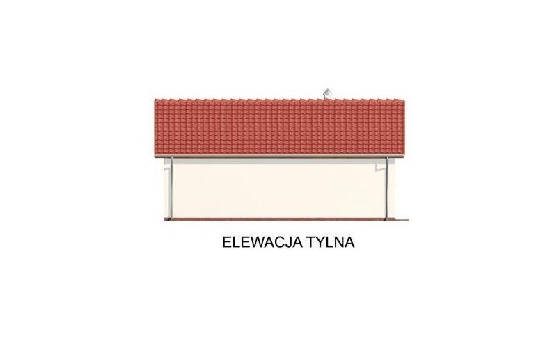 Projekt budynku gospodarczego G42 szkielet drewniany - elewacja 2