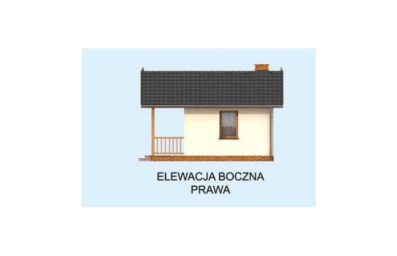 Projekt budynku gospodarczego Budynek Gospodarczy AMADORA na zgłoszenie do 35m2 - elewacja 4