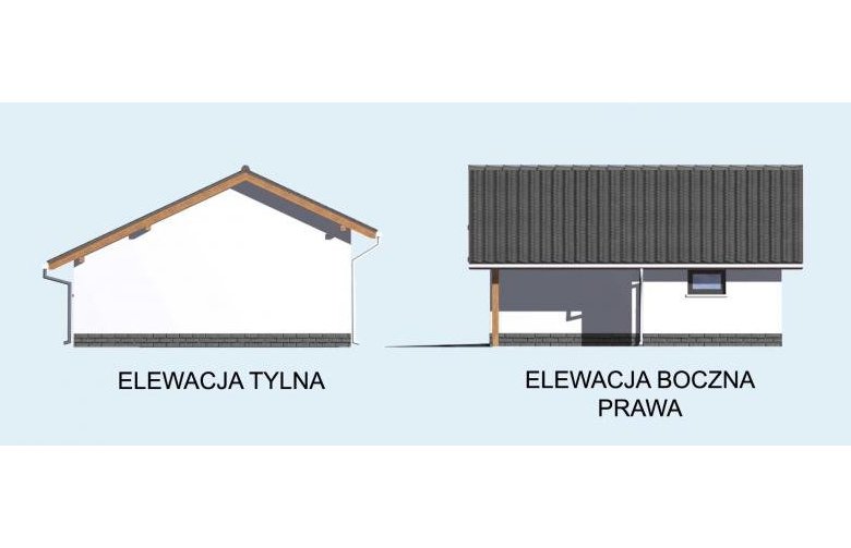 Projekt budynku gospodarczego G21 szkielet drewniany, jednostanowiskowy - elewacja 2