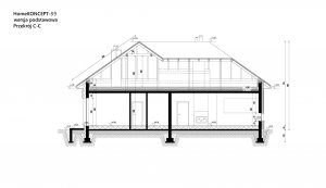 Przekrój projektu Homekoncept 39