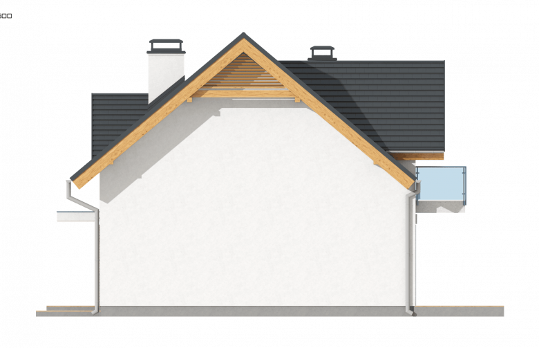 Projekt domu wolnostojącego Z163 - elewacja 3