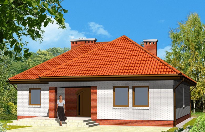 Projekt domu dwurodzinnego LK&179