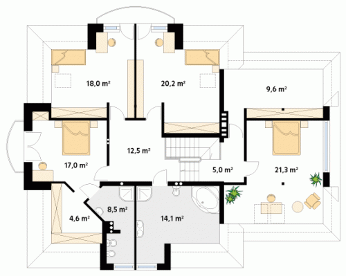 Rzut projektu Bachus 2