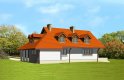 Projekt domu jednorodzinnego LK&250 - wizualizacja 0